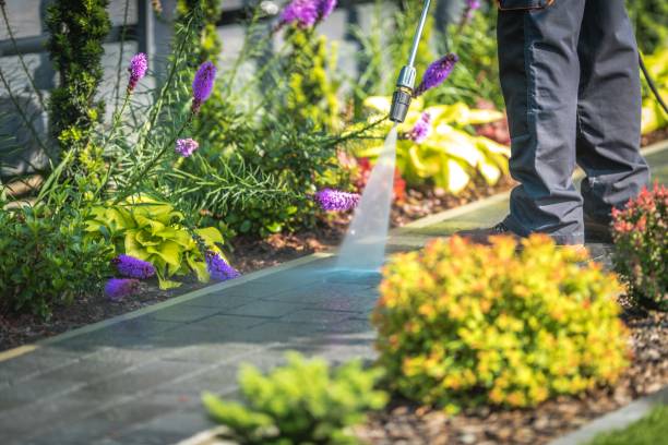 Best Factory Floor Cleaning  in Pleasant Hills, MD